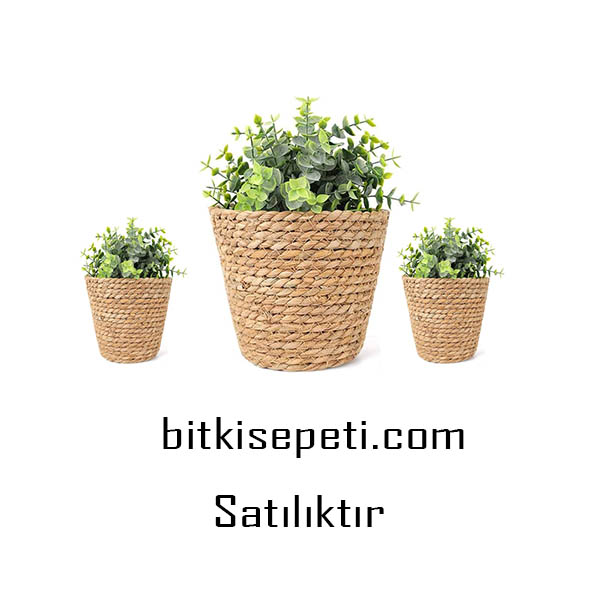 bitkisepeti.com